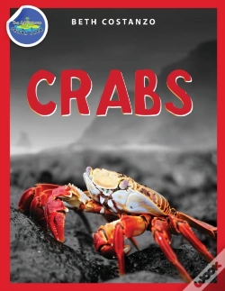 Capa do artigo Crab Activity Workbook For Kids Ages 4-8
