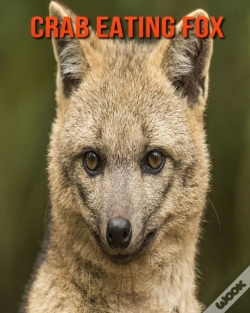 Capa do artigo Crab Eating Fox
