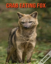 Capa do artigo Crab Eating Fox