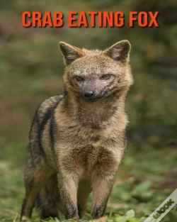 Capa do artigo Crab Eating Fox