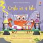 Crab In A Lab - Preview