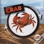 Crab