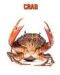 Crab - Preview