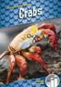 Crabs - Preview