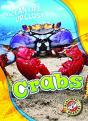 Crabs - Preview