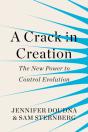 Crack In Creation - Preview