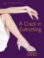 Crack In Everything - Preview