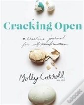 Cracking Open 2nd Edition