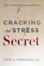 Cracking The Stress Secret - Preview