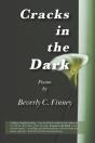 Cracks In The Dark - Preview