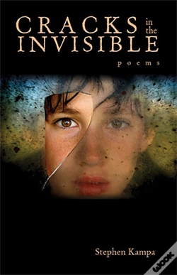 Capa do artigo Cracks In The Invisible