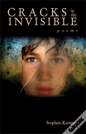 Cracks In The Invisible