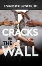 Cracks In The Wall - Preview