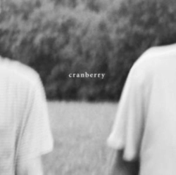 Capa do artigo Cranberry - Vinil