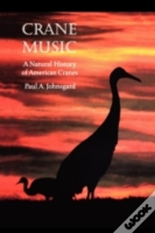 Capa do artigo Crane Music
