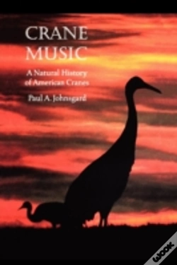 Capa do artigo Crane Music
