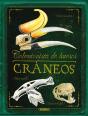 Cráneos - Preview