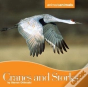 Capa do artigo Cranes And Storks