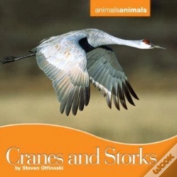 Capa do artigo Cranes And Storks