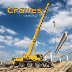 Capa do artigo Cranes