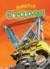 Capa do artigo Cranes