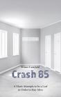 Crash 85:A Man'S Attempts To Be A Leaf I - Preview