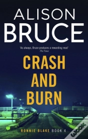 Capa do artigo Crash And Burn