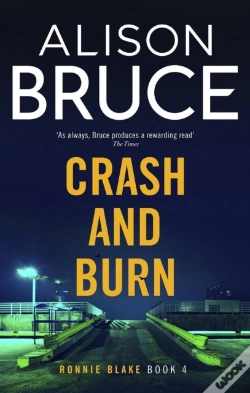Capa do artigo Crash And Burn