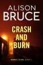 Crash And Burn - Preview