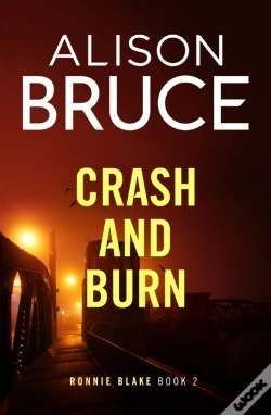 Capa do artigo Crash And Burn