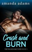 Crash And Burn