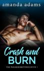 Crash And Burn - Preview