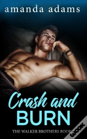 Capa do artigo Crash And Burn