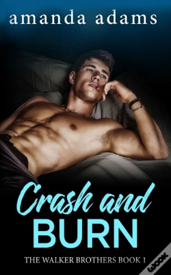 Capa do artigo Crash And Burn