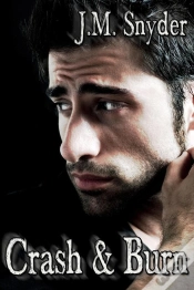Capa do artigo Crash And Burn