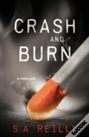 Capa do artigo Crash And Burn