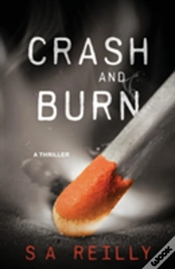 Capa do artigo Crash And Burn