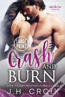 Crash & Burn