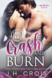 Capa do artigo Crash & Burn