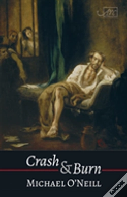 Capa do artigo Crash & Burn