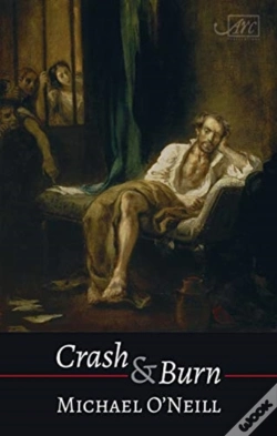 Capa do artigo Crash & Burn
