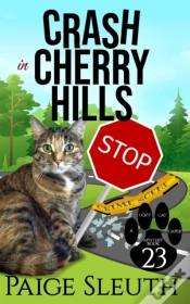 Capa do artigo Crash In Cherry Hills