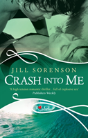 Crash Into Me: A Rouge Romantic Suspense - Preview