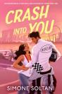 Crash Into You - Preview