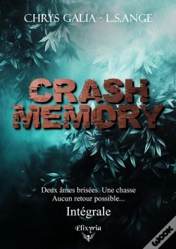 Capa do artigo Crash Memory - Intégrale