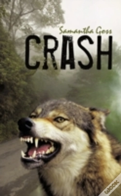 Capa do artigo Crash