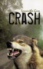 Crash - Preview