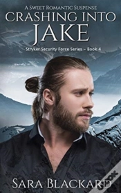 Capa do artigo Crashing Into Jake