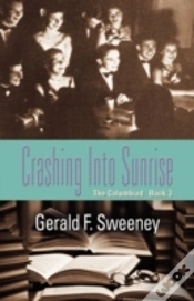 Capa do artigo Crashing Into Sunrise