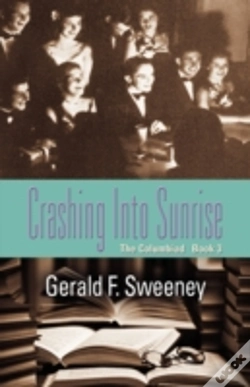 Capa do artigo Crashing Into Sunrise